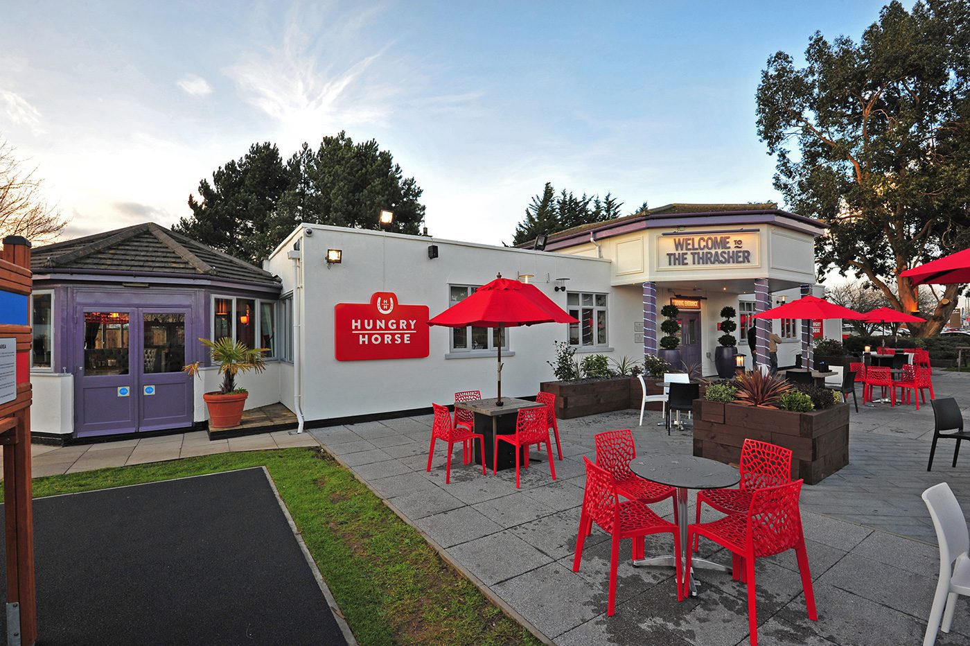 The Thrasher, Hungry Horse